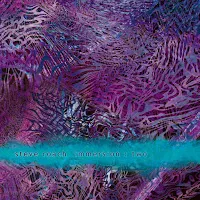 Steve Roach — Immersion : Two — обложка