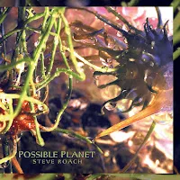 Steve Roach — Gestation — обложка