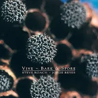 Steve Roach — Spore And Bark Ft Jorge Reyes — обложка